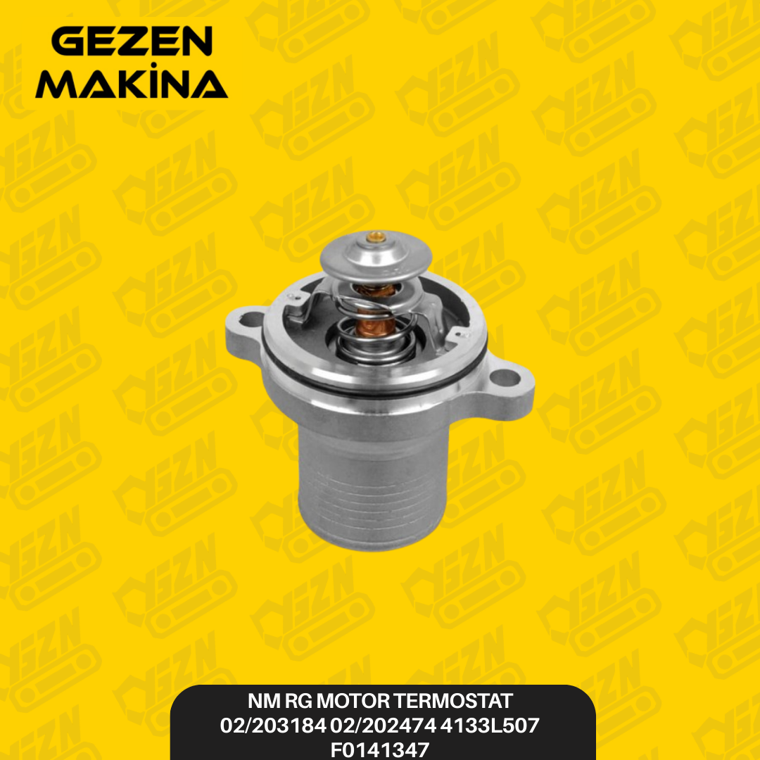 NM RG MOTOR TERMOSTAT 02 203184 02 202474 4133L507 F0141347 - Yedek Parça